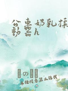 公车奶乳揉搓震动器h