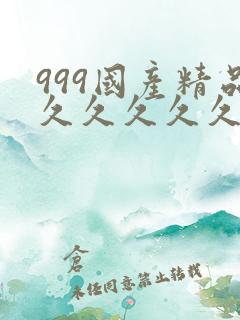 999国产精品久久久久久