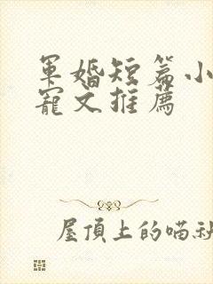 军婚短篇小说甜宠文推荐