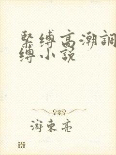 紧缚高潮调教束缚小说