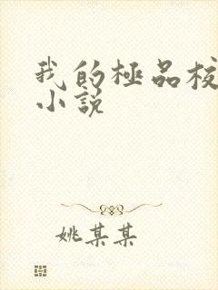 我的极品校花 小说