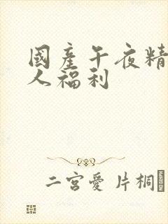 国产午夜精品成人福利