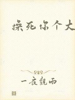 操死你个大骚货