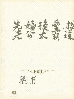 先婚后爱,总裁老公太霸道