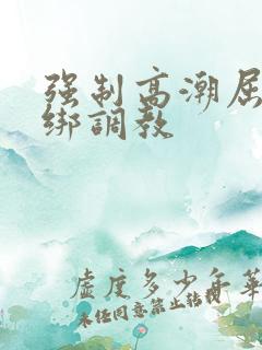 强制高潮屈辱捆绑调教