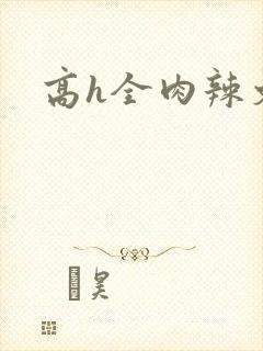 高h全肉辣文