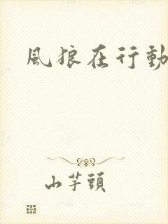 风狼在行动