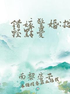 错嫁惊婚:总裁轻点爱