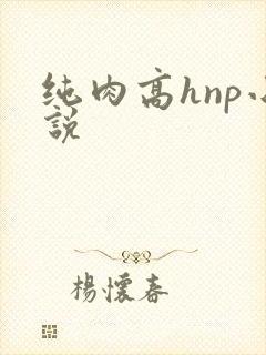 纯肉高hnp小说