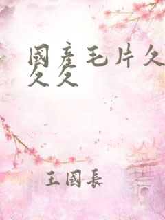 国产毛片久久久久久