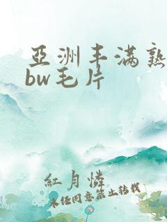 亚洲丰满熟妇bbw毛片