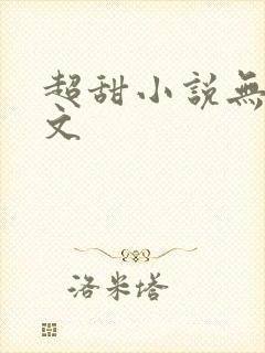 超甜小说无虐宠文