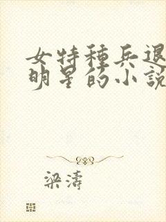 女特种兵退役当明星的小说