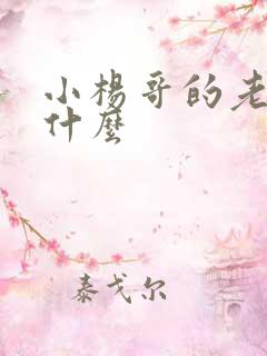 小杨哥的老婆叫什么