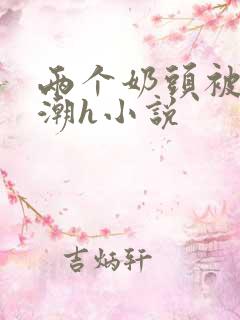 两个奶头被捏高潮h小说