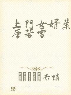 上门女婿叶凡与唐若雪