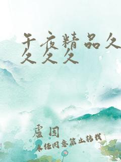 午夜精品久久久久久久