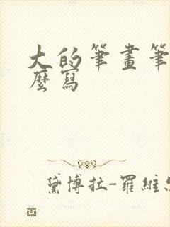 大的笔画笔顺怎么写