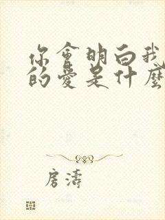 你会明白我给你的爱是什么歌