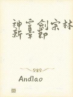 神霄剑宗林枫最新章节