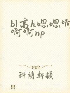 bl高h嗯嗯啊啊啊np