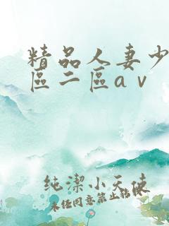 精品人妻少妇一区二区aⅴ