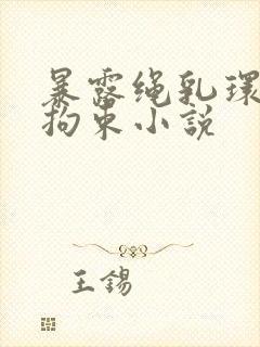 暴露绳乳环蒂环拘束小说