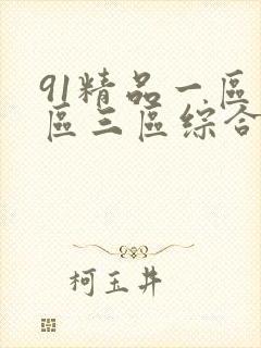 91精品一区二区三区综合在线