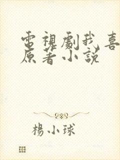 电视剧我喜欢你原著小说