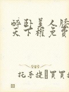 醉卧美人膝醒掌天下权免费