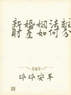 新婚姻法离婚后财产如何分配