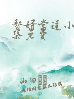 赘婿当道小说全集免费