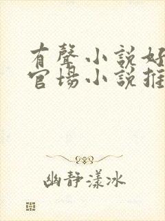 有声小说好听的官场小说推荐