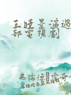 王晓晨演过的全部电视剧