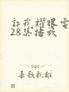 许我耀眼电视剧28集播放