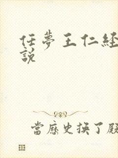 任梦王仁经典小说