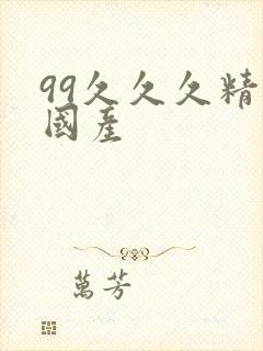 99久久久精品国产