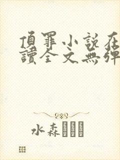 顶罪小说在线阅读全文无弹窗