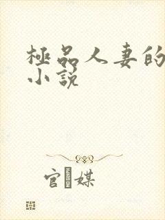 极品人妻的堕落小说