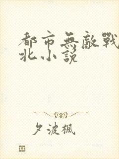 都市无敌战神林北小说