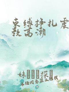 束缚挣扎震动调教高潮