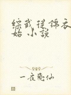 综武从锦衣卫开始 小说