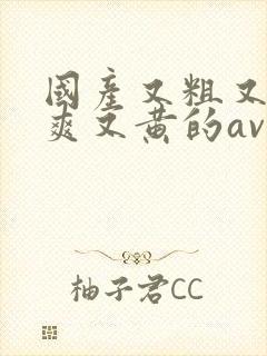 国产又粗又猛又爽又黄的av