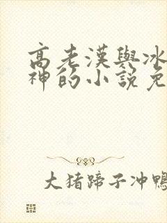 高老汉与冰山女神的小说免费阅读
