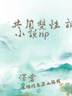 共用双性 调教 小说np