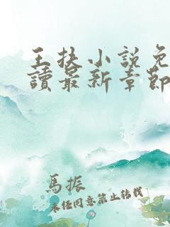 王扶小说免费阅读最新章节无弹窗