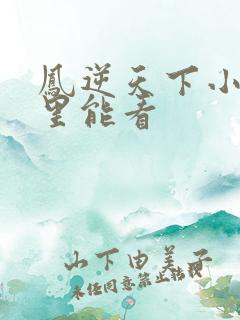 凤逆天下小说哪里能看