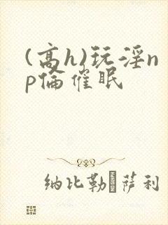 (高h)玩淫np伦催眠