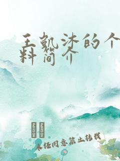 王凯沐的个人资料简介