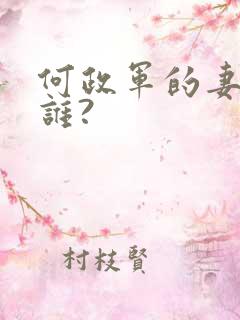 何政军的妻子是谁?